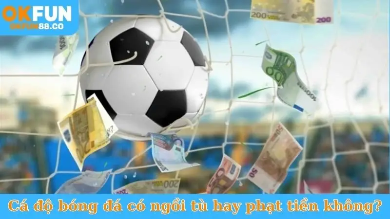 Cá độ bóng đá có ngồi tù hay phạt tiền không?