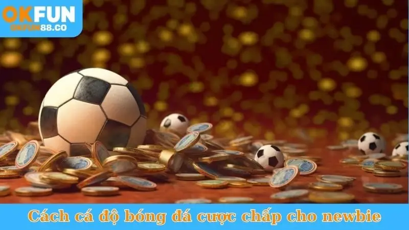 Cách cá độ bóng đá cược chấp hiệu quả cho newbie