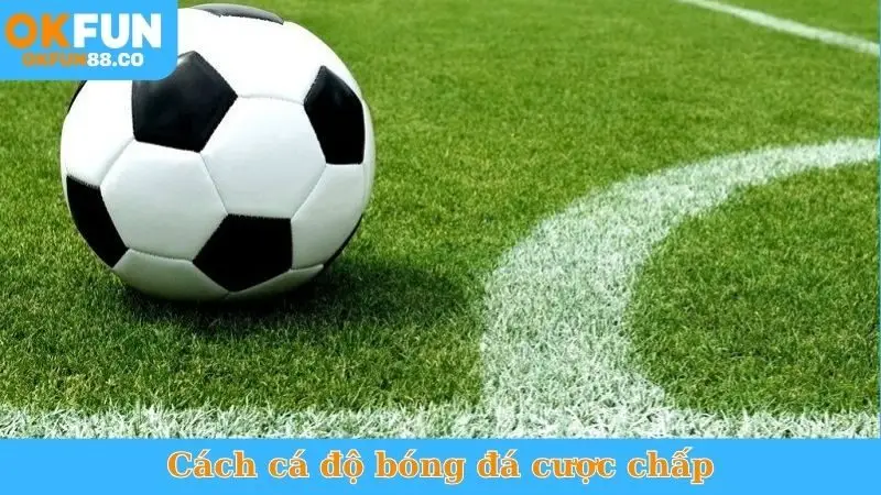 Cách Cá Độ Bóng Đá Cược Chấp