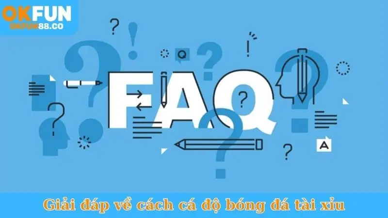 Giải đáp về cách cá độ bóng đá tài xỉu