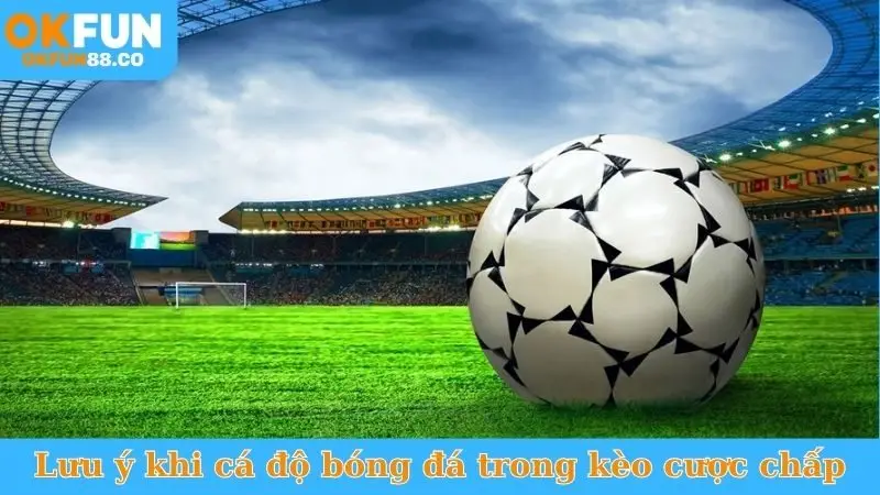 Lưu ý khi cá độ bóng đá trong kèo cược chấp