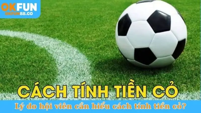 Lý do hội viên cần hiểu cách tính tiền cỏ?