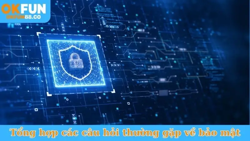 Tổng hợp các câu hỏi thường gặp về chính sách bảo mật