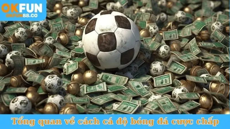 Tổng quan về cách cá độ bóng đá cược chấp